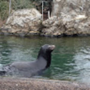 Meet your Posher, Jace